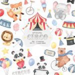 Circo - Kit Digital